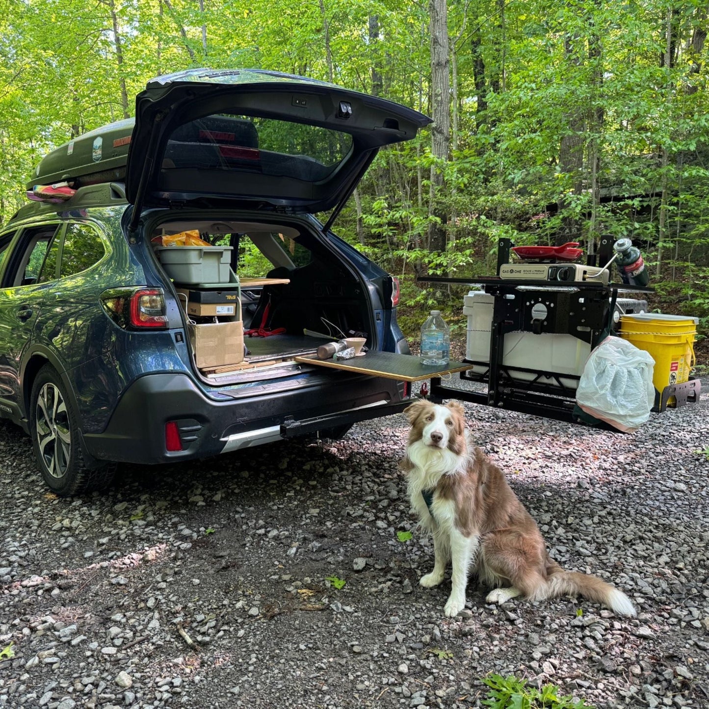 Swing Away Hitch Cargo Carrier & Bike Rack for SUVs, Trucks & RVs | rucRak GUNNY
