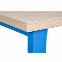 Heavy Duty Work Bench Built for Professional Use, Powder-Coated Steel Frame, Scratch-Resistant Top